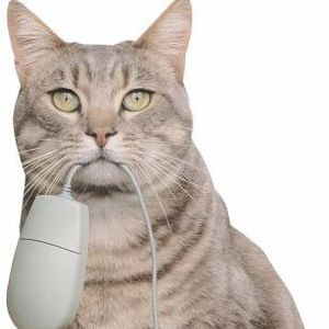 Meet your Posher, Dee